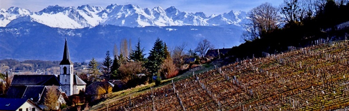Friday Night Wine School, Jura & Savoie - Distinctive Wines from the French Alps