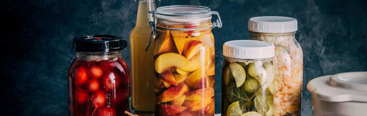 Fermentation Friday