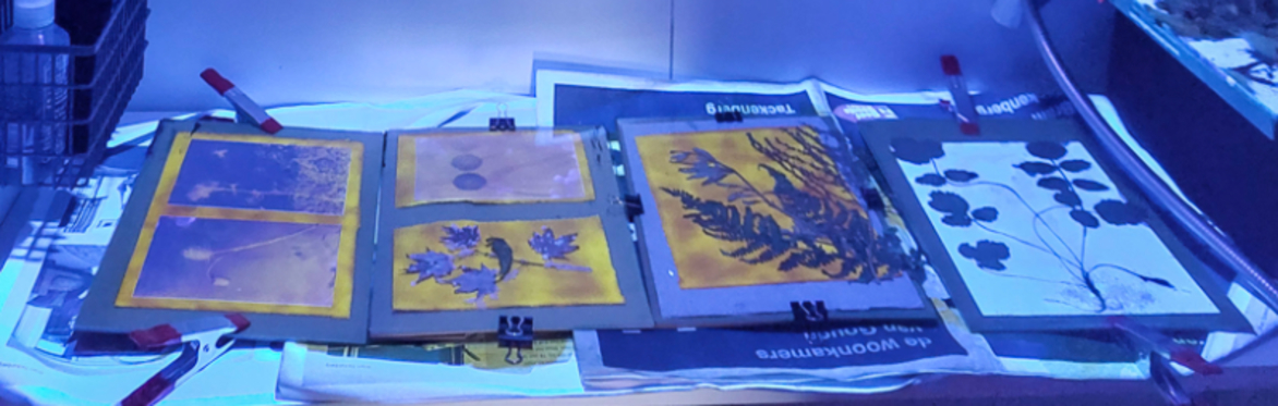 T42. Learn all Sunlight based Processes Outside the Darkroom with Henri Blommers