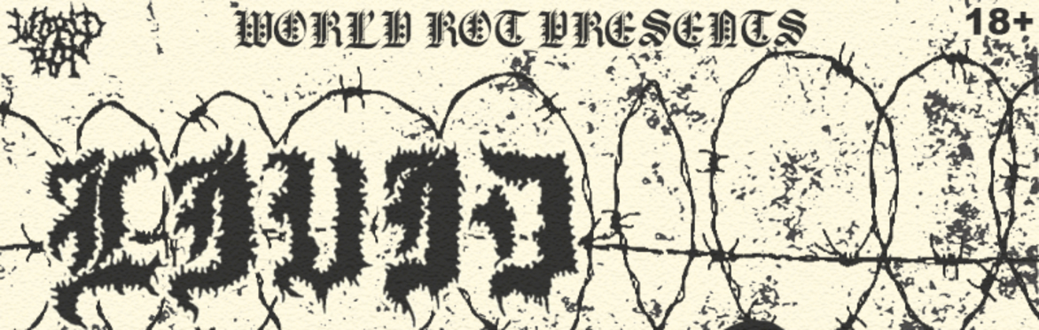 LIVID BNE SHOWCASE
