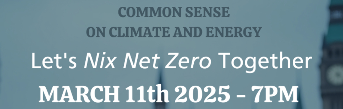 Common Sense on Climate and Energy:  Let's Nix Net Zero - Together