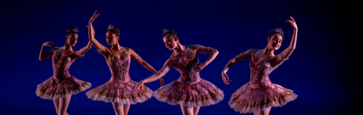 DANSE | SF BALLET SCHOOL | THURSDAY MARCH 28th| 6:00PM