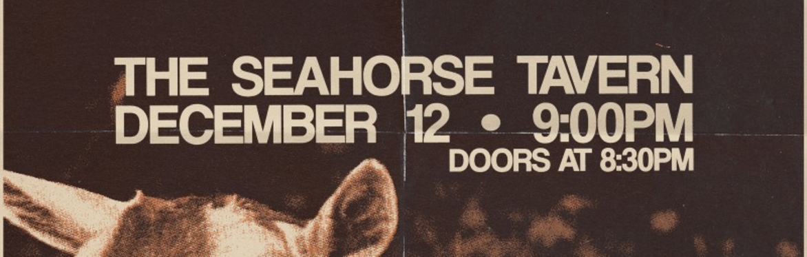 GIZMO • THE GILBERTS • GREEN EYES, WITCH HANDS • FENCING at the SEAHORSE