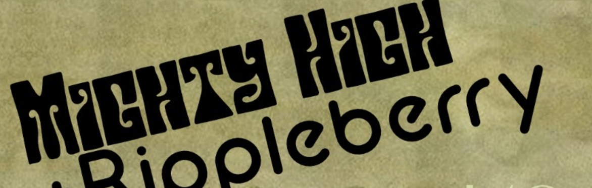 Mighty High w/ Rippleberry at The Far Out Lounge