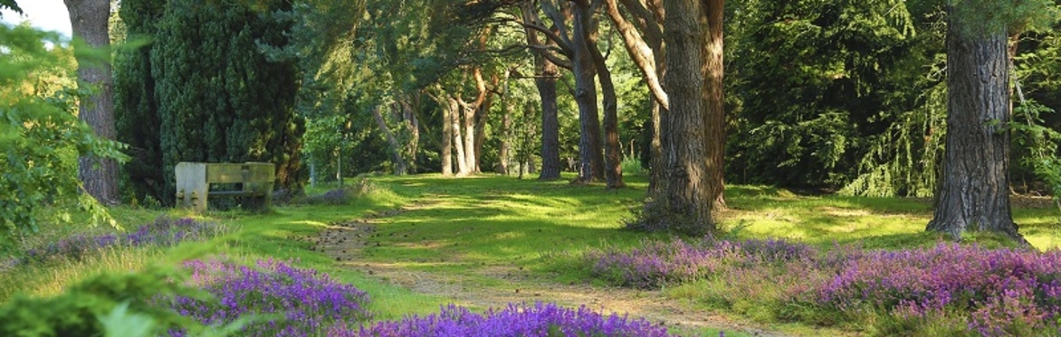 Trees for the Future - Savill Garden Study Day