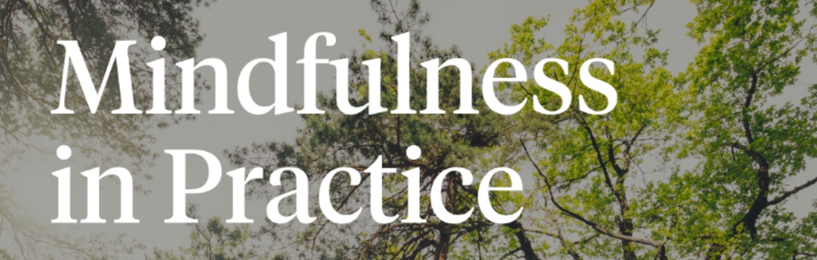 Mindfulness in Practice | Workshop