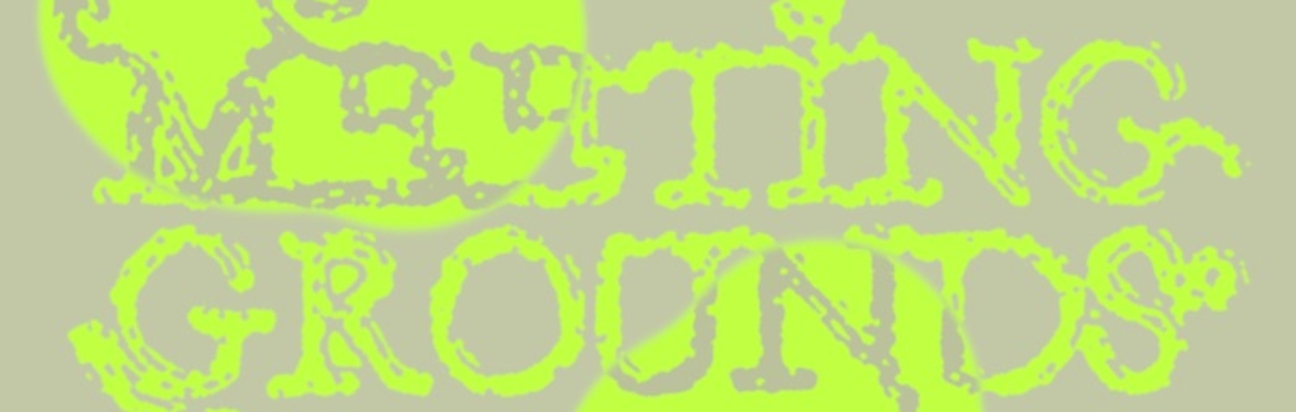 Public Knowledge: Meeting Grounds: Essay as Event