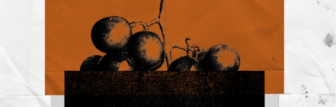 The Dark Side of White: a deep dive into ‘Orange’ wine