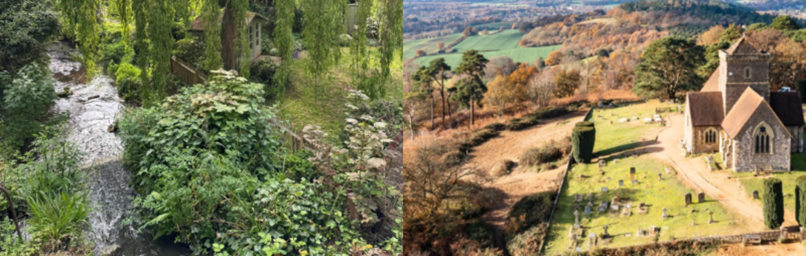 Newlands Corner, Chantries and St Martha’s Hill 9k Circular