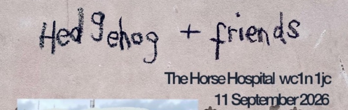 Hedgehog and Friends. Hedgehog's Tape Release at The Horse Hospital