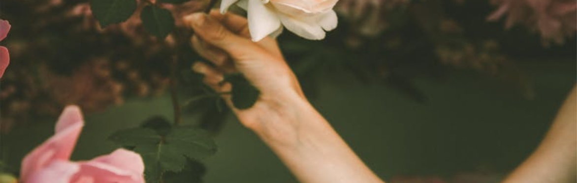 online herbal medicine course