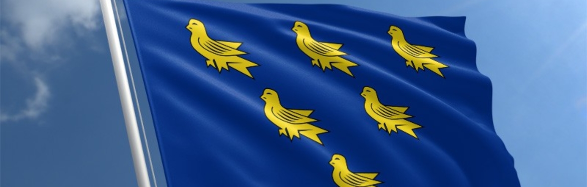 Sussex Area Conference