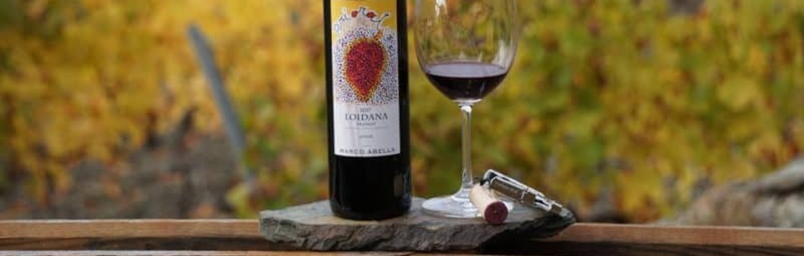 CATA el Priorat - Wine & tapas tasting!