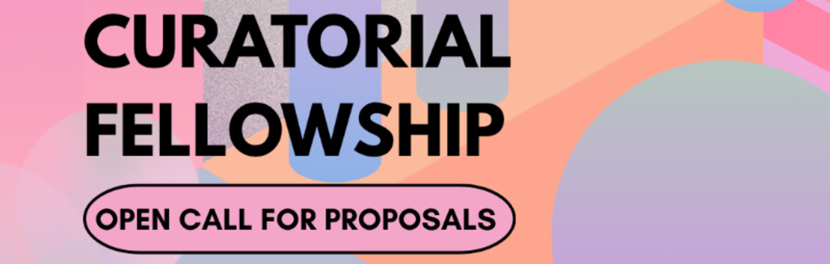 Submission Fee ~ Curatorial Fellowship