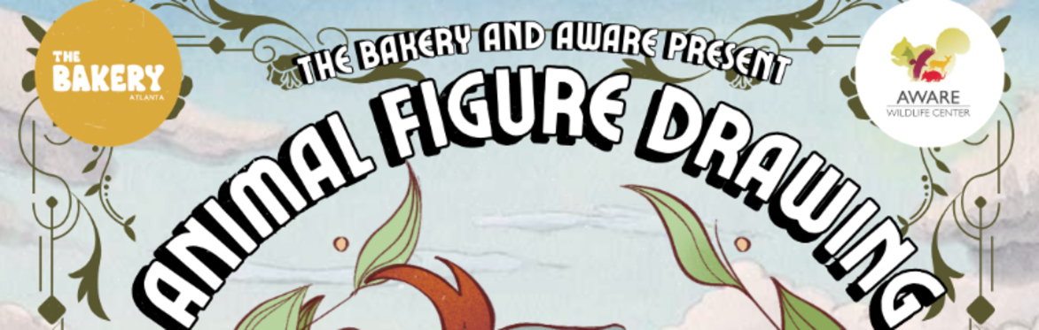Animal Figure Drawing with AWARE Birds