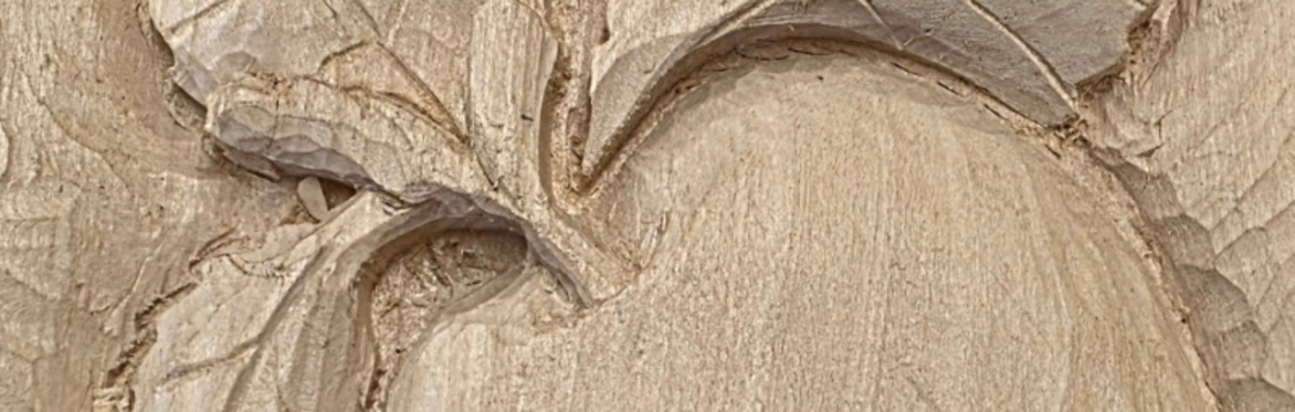 Wood Carving 2 week Course