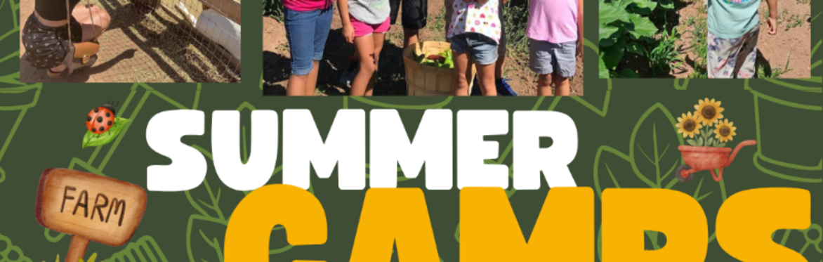 Summer Camps at Big Jim Farms