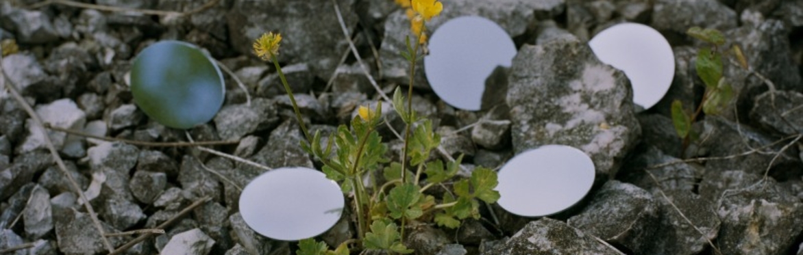 Photoworks x Peckham 24: Emily Graham and David Birkin, in conversation with Amin Yousefi
