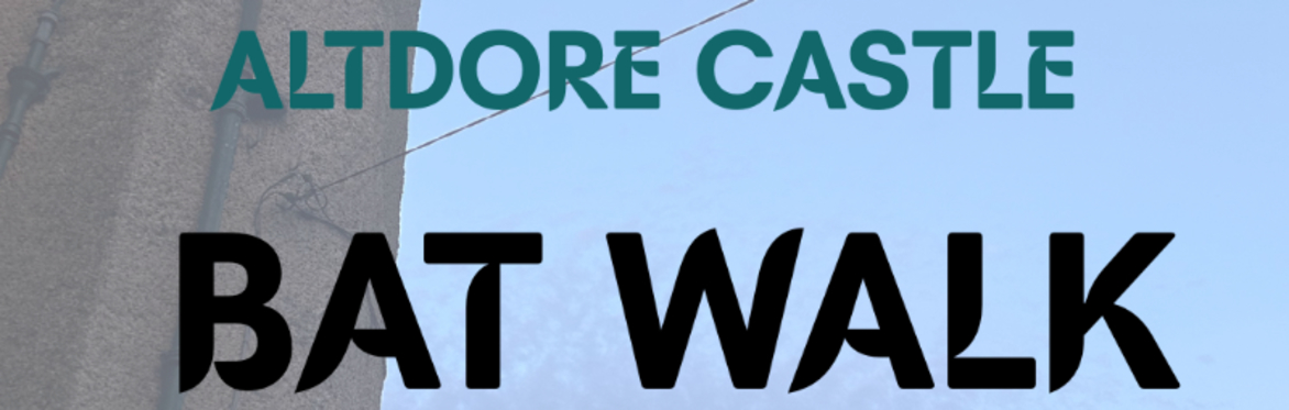 Altidore Bat Walk- In Association with Bat Conservation Ireland