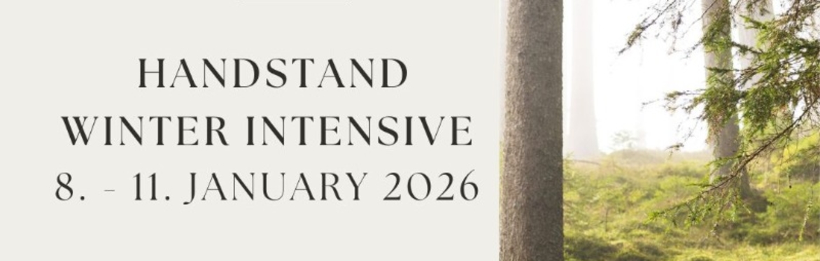 Handstand Revolution Weekend Intensive Winter Edition