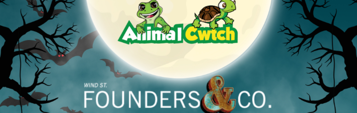 Animal Cwtch Animal Encounters at Founders and Co Swansea!