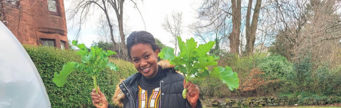 Climate-Friendly Growing: Planting Tips for 2026