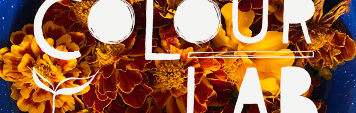 Colour Lab: Make Your Mark! - A Workshop for Children & Families