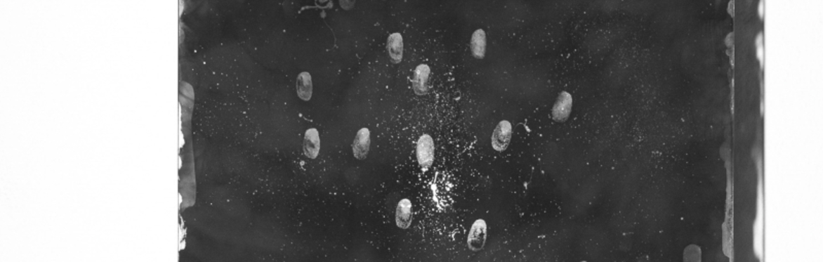 T18. Explorations in Cliché-Verre with Daniel Hojnacki
