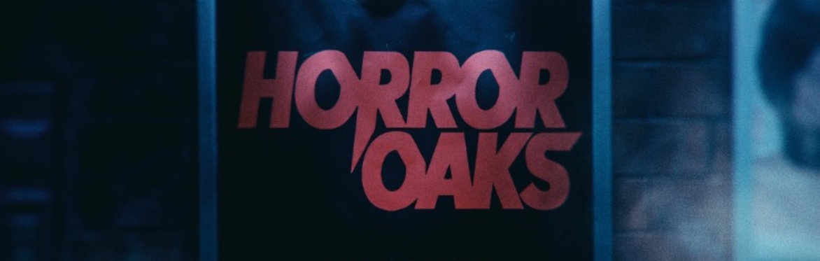 Hollyoaks word logo over an image of Hollyoaks village
