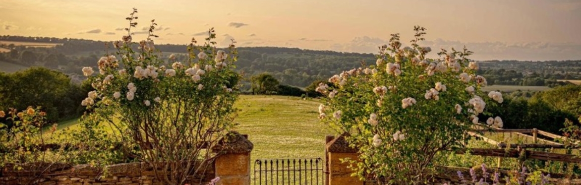 BLOCKLEY BRANCH Summer Drinks Party