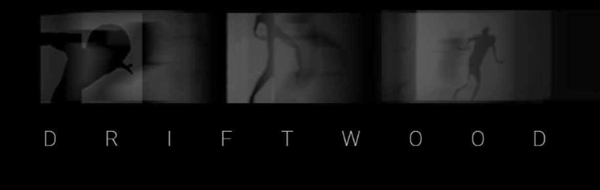 Driftwood - Private View