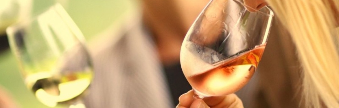 The Taste of Giving- wine tasting fundraiser for Arts Uplift