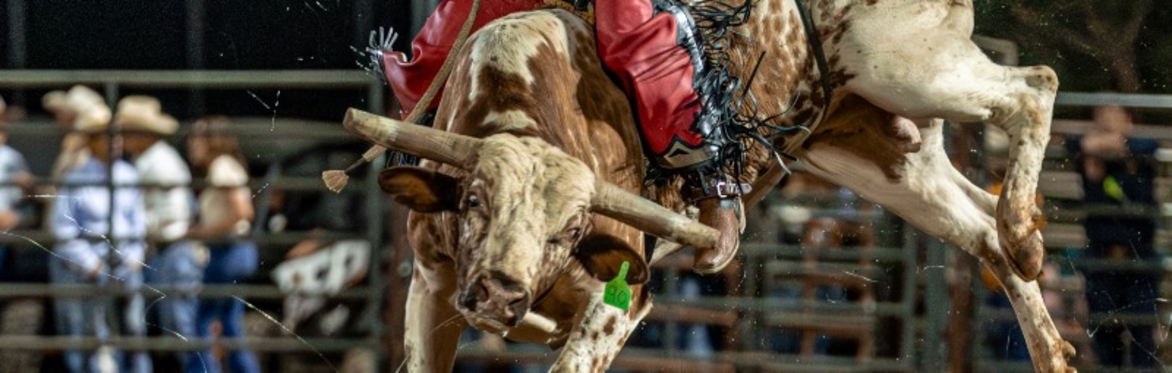The Sheriff's Whiskey & Rails Rodeo Bash