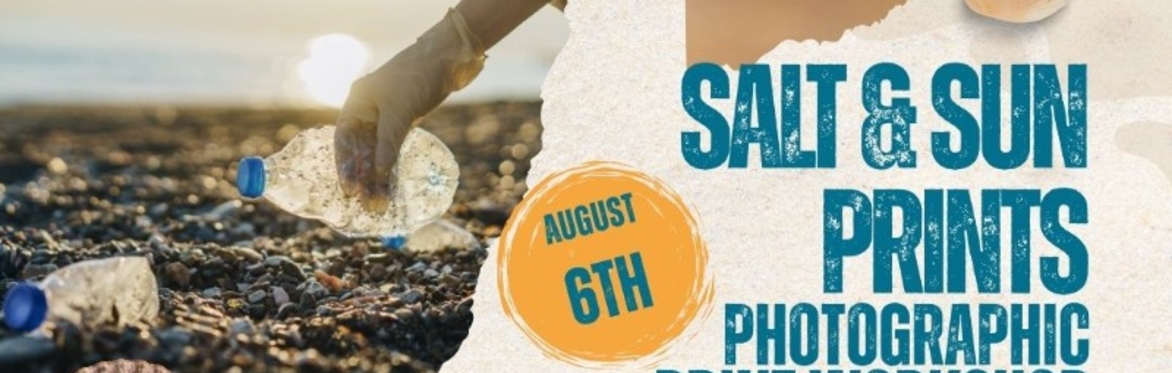 National Marine Week: Beach Clean for an Ice Cream