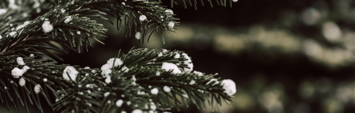 Wreath Workshop