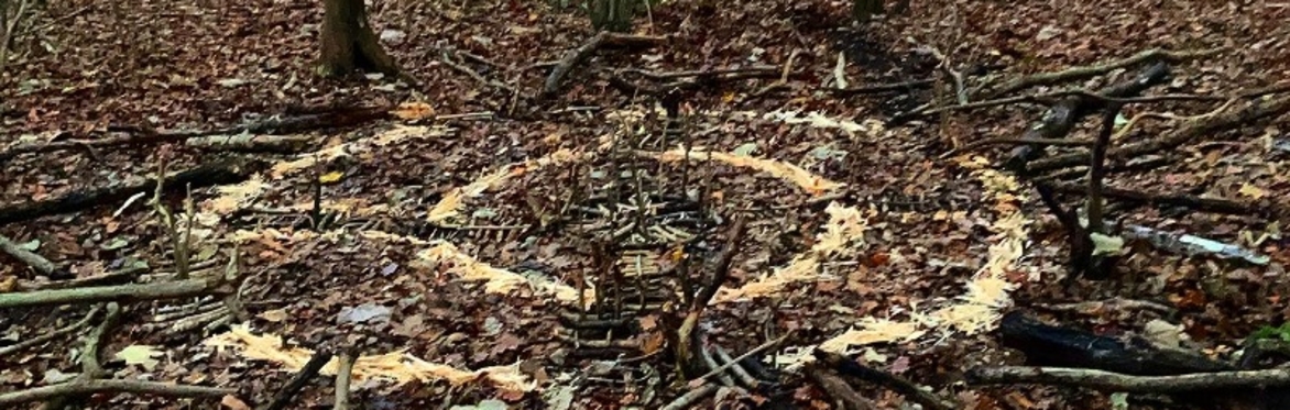 Peer Support Session with Blair McCormick - eARTh workshop - Harness the chaos and create the calm