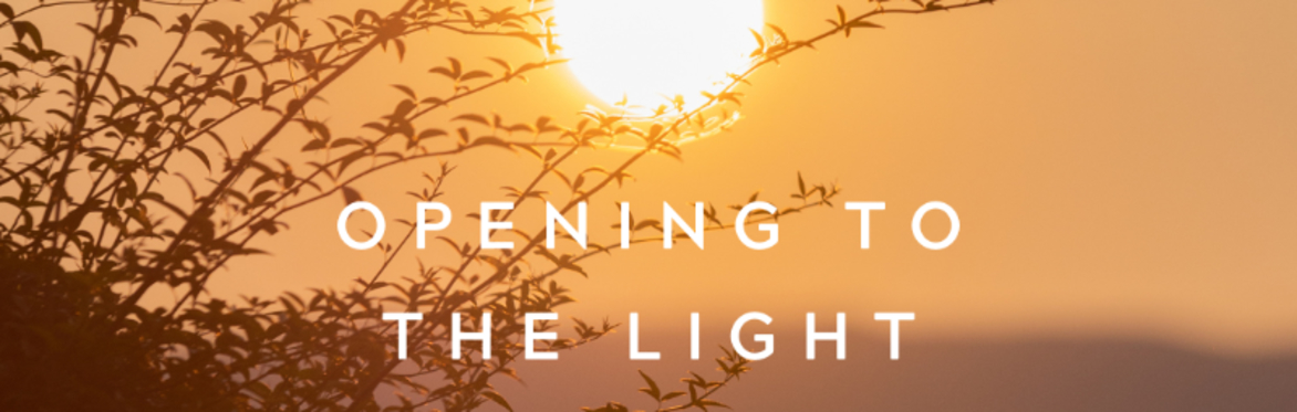 A ball of sun in an orange sky with tree branches in the foreground with the text Opening to the light