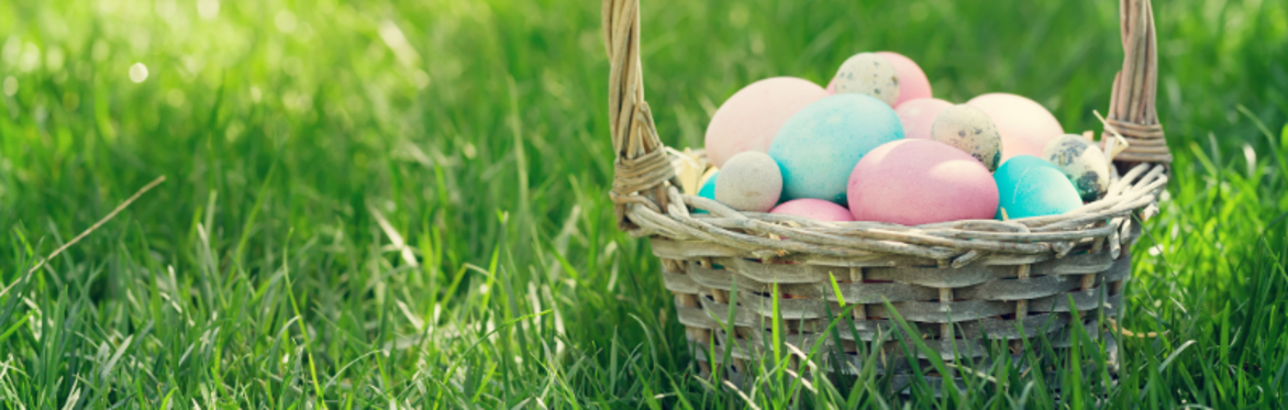 Egg-citing Easter Celebration 🐰🌸