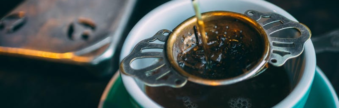 online herbal medicine course
