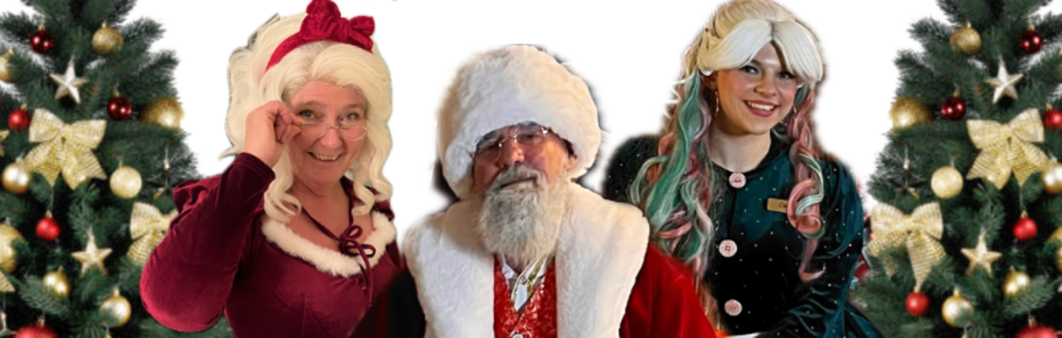 Fantasyland Christmas Experience