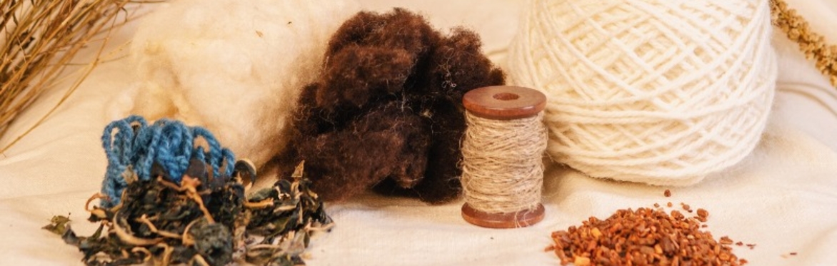 Homegrown: a day of Irish fibres