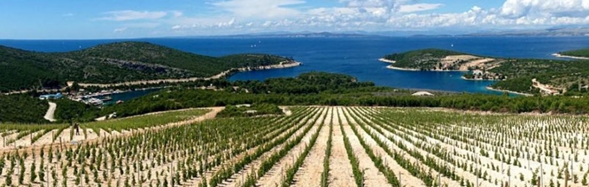 Croatia, Slovenia, Abruzzo - Wines of the Adriatic