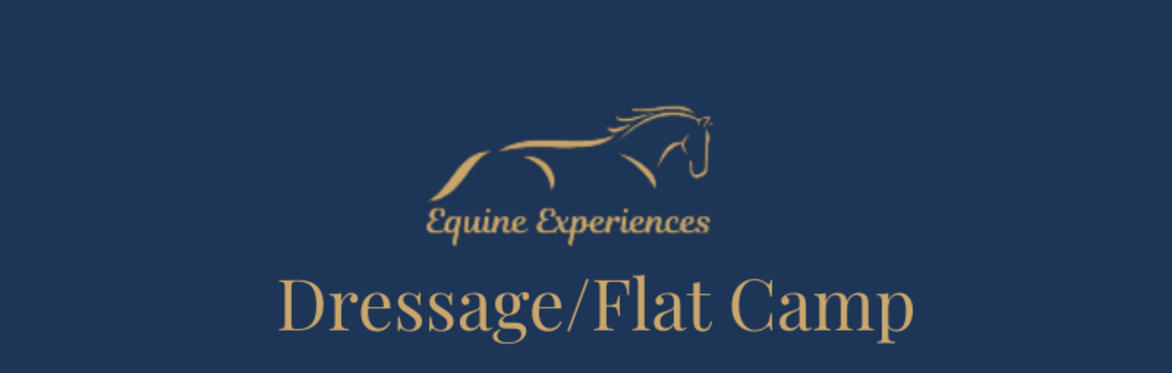 Dressage/Flat Training Camp with Dr Jo Winfield FBHS & BD Coach Liza McQuistan