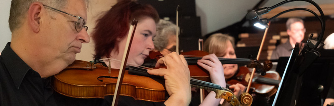 Newark Symphony Orchestra chamber group