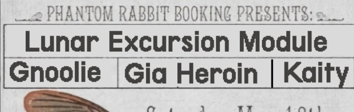 Gnoolie, Lunar Excursion Module, Kaity, Gia Heroin