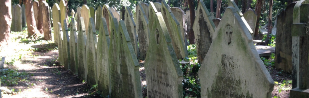 Dead and Buried, Not Forgotten - Churchyards, Cemeteries and their Records: Cemetery Park Online