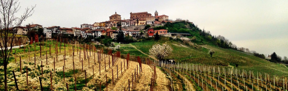 Exploring Piemonte, Friday Tasting Event