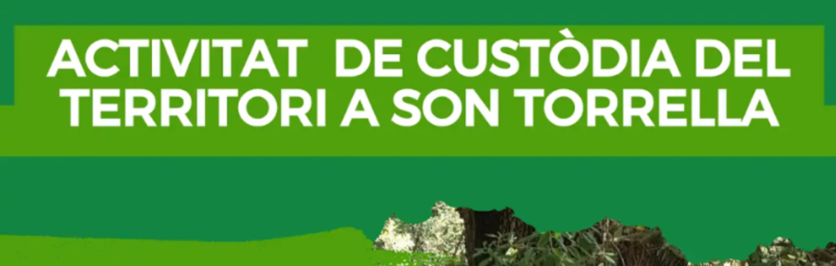 Jornada de voluntariat ambiental a Son Torrella: protegim els nostres alzinars per Amics de la Terra i Mallorca Preserva