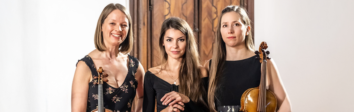 "Barocke Weihnacht" mit dem Bach Consort Wien