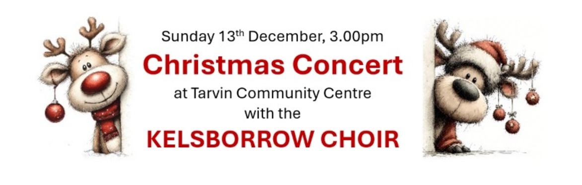 A Festive Family Afternoon with Kelsborrow Choir!